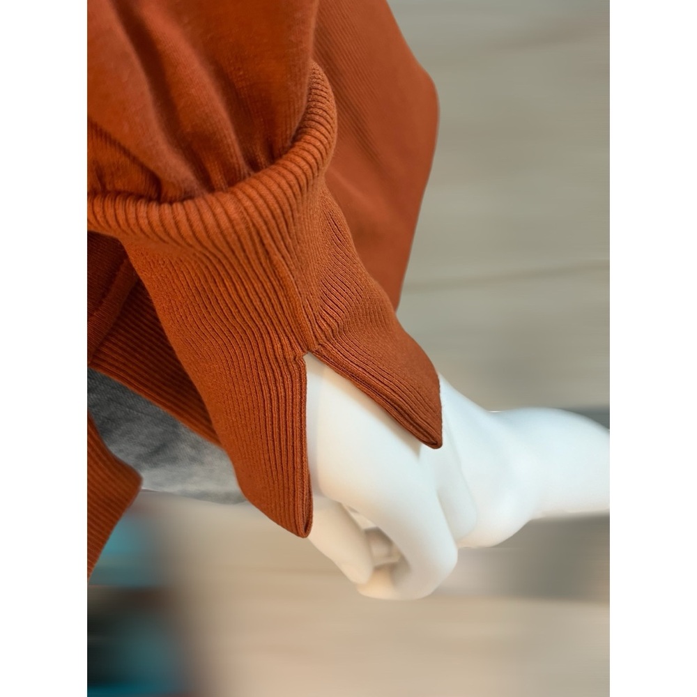 FANTASTIC FAWN let’s go girls oversized rust pull over S M L - Picture 4 of 8
